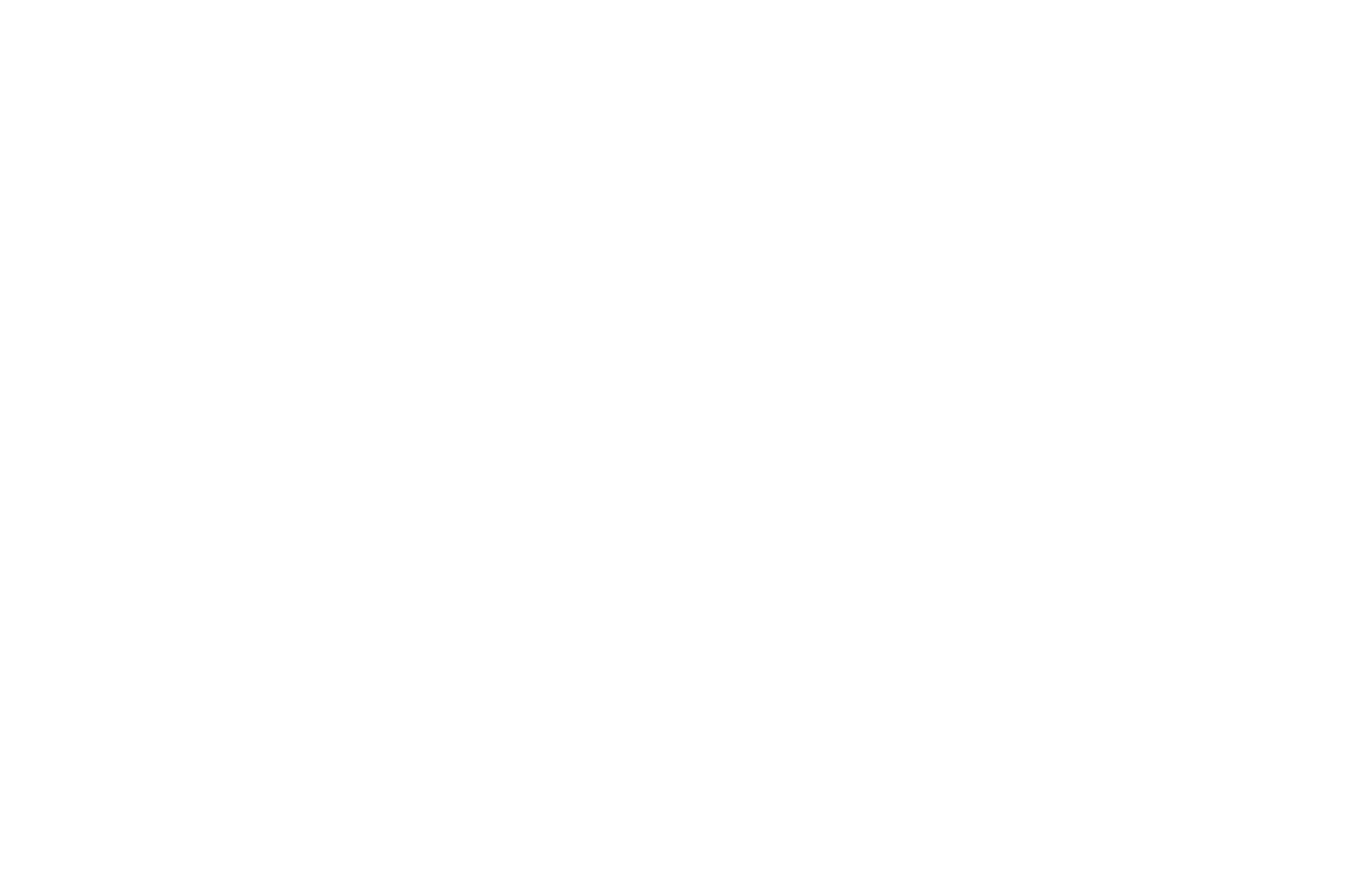 Схематичное изображение Pentruder RS2